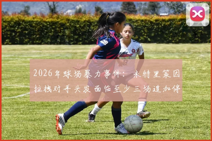 2026年球场暴力事件：米特里策因拉拽对手头发面临至少三场追加停赛，暴力行为认定标准解析